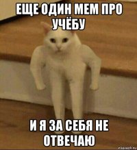 еще один мем про учёбу и я за себя не отвечаю