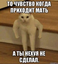 то чувство когда приходит мать а ты нехуя не сделал.