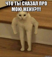 что ты сказал про мою жену?!!! 