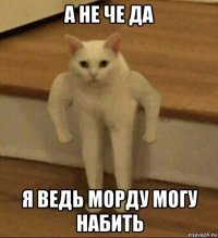 а не че да я ведь морду могу набить