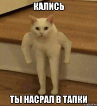 кались ты насрал в тапки