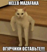 hello mazafaka огурчики оставьте!!!