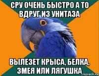 сру очень быстро а то вдруг из унитаза вылезет крыса, белка, змея или лягушка