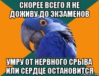 скорее всего я не доживу до экзаменов умру от нервного срыва или сердце остановится