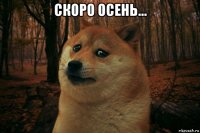 скоро осень... 