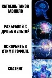 Катаешь такой гавнило Разьебали с дроба и ультой Оскорбить в стим профиле Сватинг