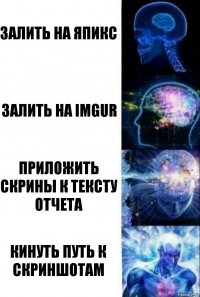 Залить на япикс Залить на imgur Приложить скрины к тексту отчета Кинуть путь к скриншотам