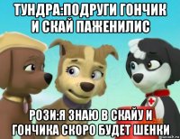 тундра:подруги гончик и скай паженилис рози:я знаю в скайу и гончика скоро будет шенки