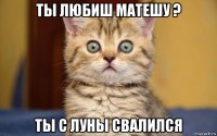 ты любиш матешу ? ты с луны свалился