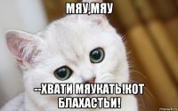 мяу,мяу --хвати мяукать!кот блахастьи!