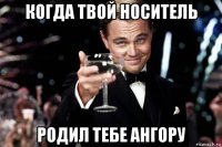 когда твой носитель родил тебе ангору