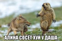  алина сосёт хуй у даша