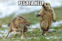 ребята help 