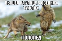 вышел на улицу в осенних туфлях *гололед