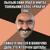 лысый свин упал в унитаз тоненький голос хряка не спас свинота унесся в вонючую даль это я толчок шаталь!