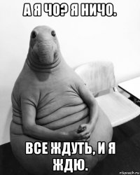 а я чо? я ничо. все ждуть, и я ждю.