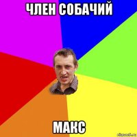 член собачий макс