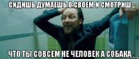 сидишь думаешь о своем и смотриш что ты совсем не человек а собака