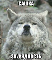 сашка заурядность