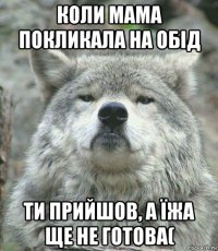 коли мама покликала на обід ти прийшов, а їжа ще не готова(