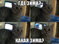 где зима? какая зима?