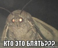  кто это блять???