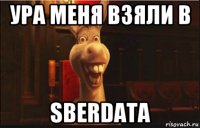 ура меня взяли в sberdata