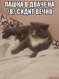 пашка в дваче на /b/ сидит вечно 