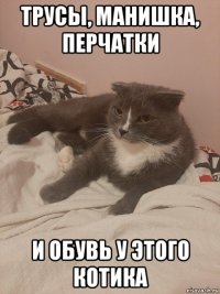 трусы, манишка, перчатки и обувь у этого котика