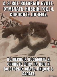 а. я. кот. который. будет. отмечать. новый. год. и. спросите. почему. во-первых. возьмите. и. скиньте. ёлку. на. пол. и. во-вторых. спать. лицом. в. салате.