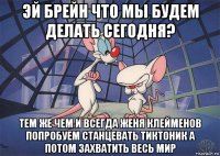 эй брейн что мы будем делать сегодня? тем же чем и всегда женя клейменов попробуем станцевать тиктоник а потом захватить весь мир