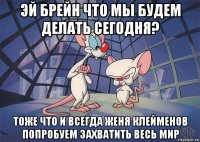 эй брейн что мы будем делать сегодня? тоже что и всегда женя клейменов попробуем захватить весь мир