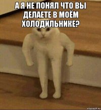 а я не понял что вы делаете в моём холодильнике? 