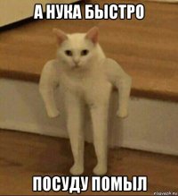 а нука быстро посуду помыл