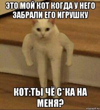 это мой кот когда у него забрали его игрушку кот:ты чё с*ка на меня?