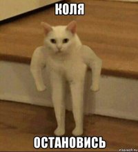 коля остановись