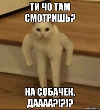 ти чо там смотришь? на собачек, даааа?!?!?