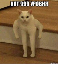 кот 999 уровня 