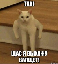 так! щас я выхажу вапщет!