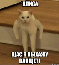 *алиса щас я выхажу вапщет!