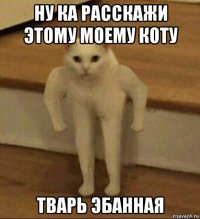 ну ка расскажи этому моему коту тварь эбанная