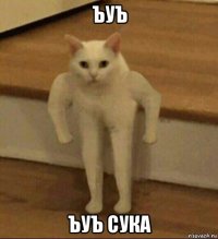 ъуъ ъуъ сука