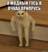 я модный гусь в очках припрусь 