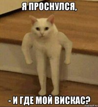 я проснулся, - и где мой вискас?