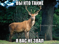 вы кто такие я вас не звал