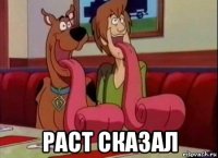  раст сказал