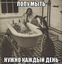 попу мыть нужно каждый день