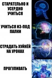 Старательно и усердно учиться Учиться из-под палки Страдать хуйнёй на уроках Прогуливать