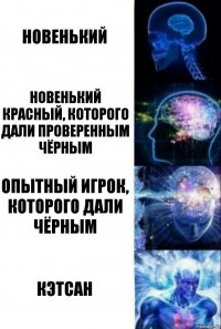 Новенький Новенький красный, которого дали проверенным чёрным Опытный игрок, которого дали чёрным Кэтсан