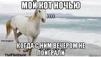 мой кот ночью когда с ним вечером не поиграли